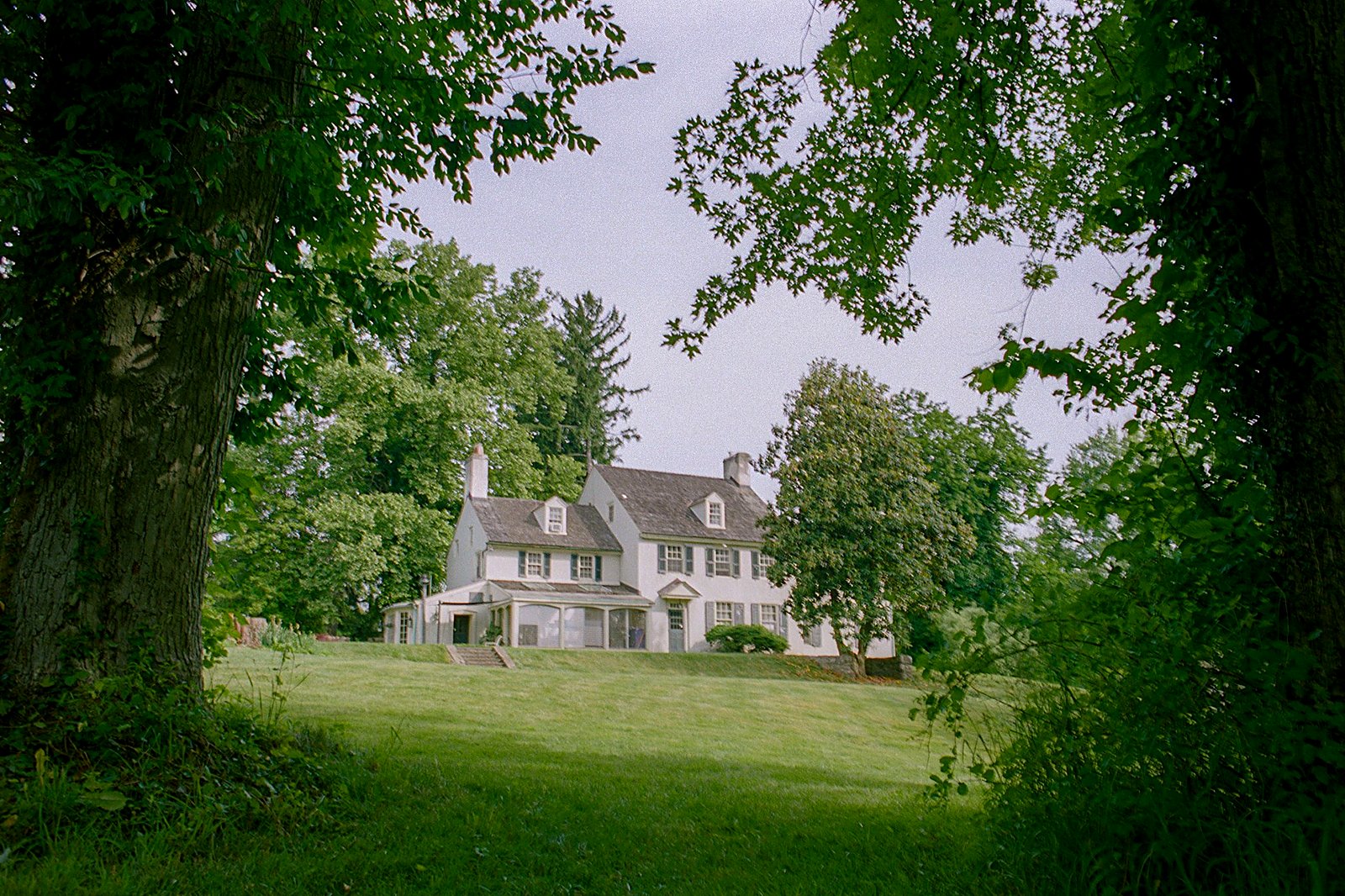 Country farmhouse framed by trees